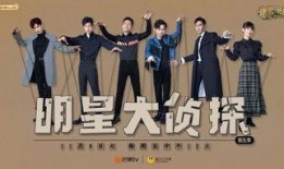 明星大侦探第五季 黑料是什么,揭秘神秘“黑料”背后的真相