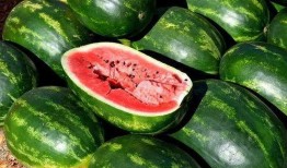 吃瓜视频大全高清 52爆料吃瓜网,吃瓜视频大全高清52爆料，吃瓜网独家爆料大揭秘